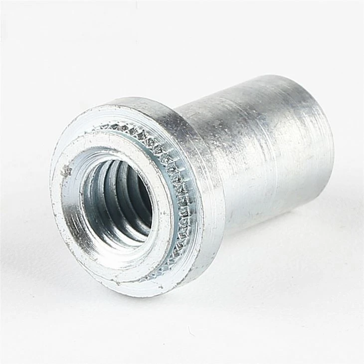 Hollow Sus410 Blue CNC Blind Rivet Nut