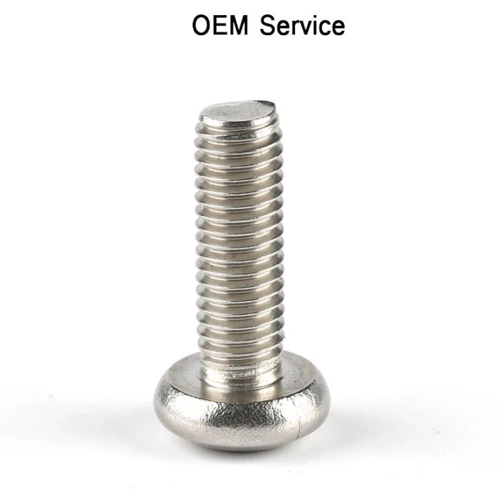 Pan Head Torx Full Thread Screw