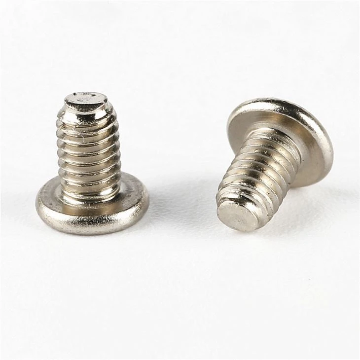 Precision Stainless Steel Phillip Micro Screw