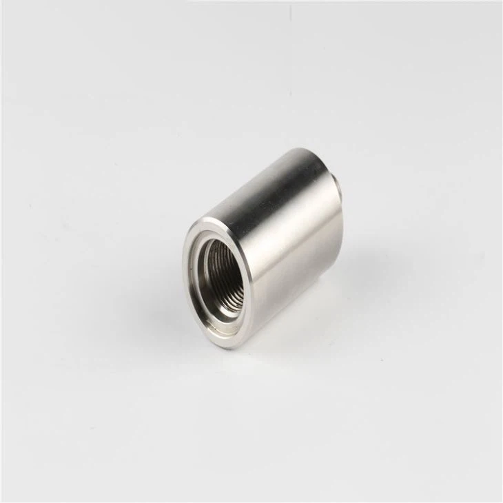 سلیپنگ انسٹرومنٹ سٹڈز۔